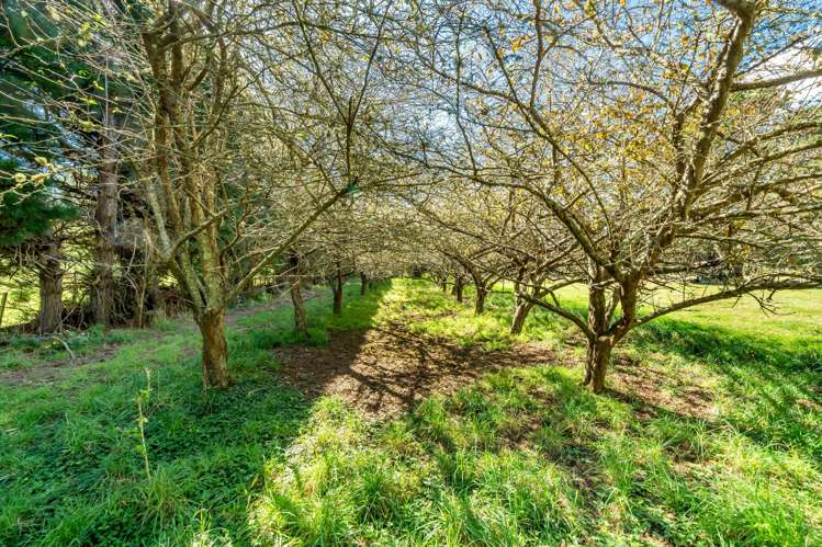 417c Grays Road Pauatahanui_45