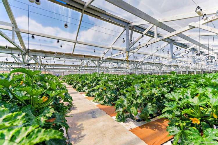 200 Appleby Road Drury_18