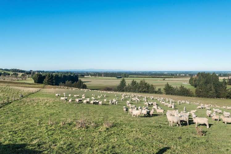 828 Downs Road Hororata_7