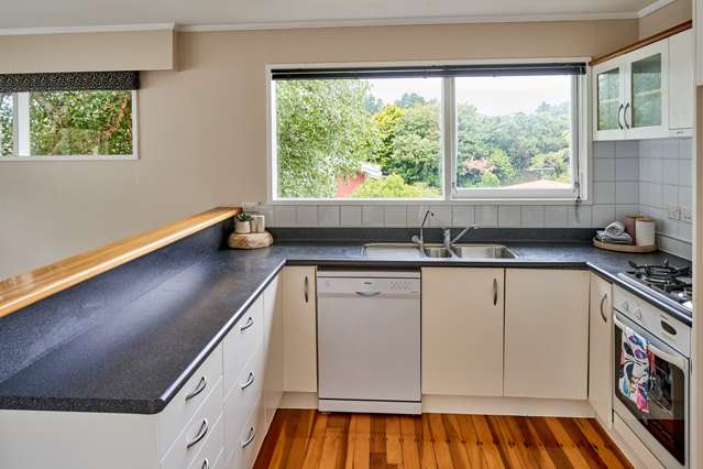 15 Goddard Grove Churton Park_4