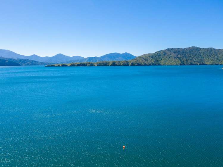 Ahitarakihi Bay Queen Charlotte Sound_18