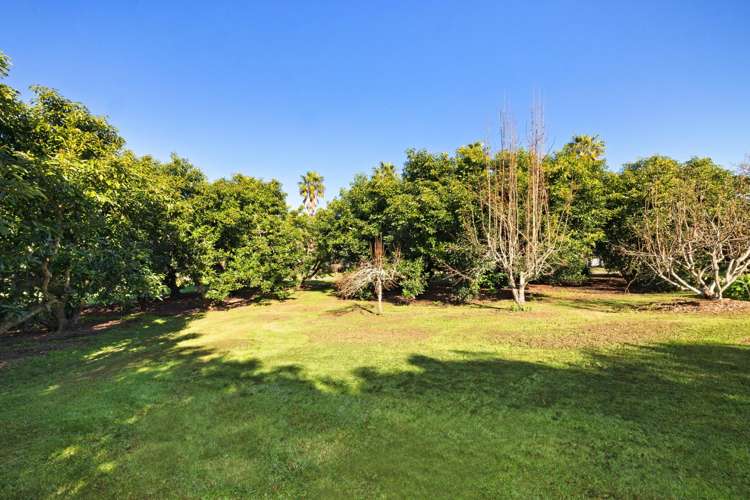 88 Lockington Road Aongatete_20