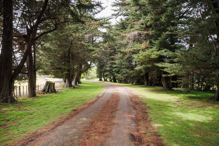 852 Penny Road Awahuri_2