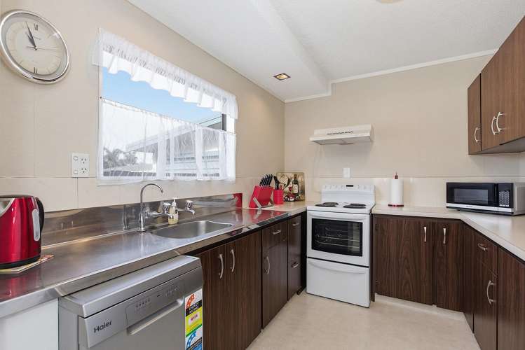 19A Coronation Road Morrinsville_12