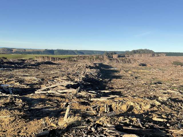 Taieri Beach Road Taieri Mouth_4