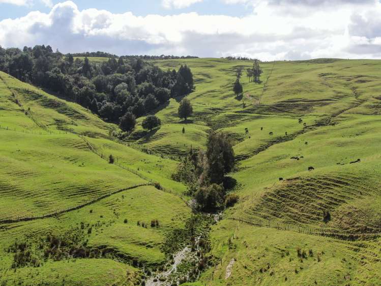 593 Peria Road Peria_24