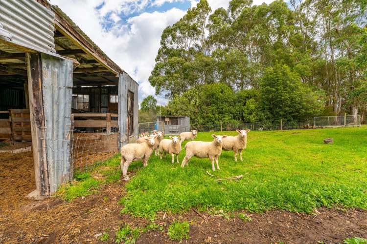 263 Downs Road Geraldine Downs_25