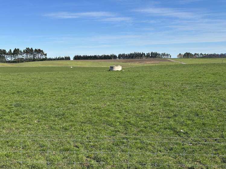 142 Endowment Road Winton Surrounds_17