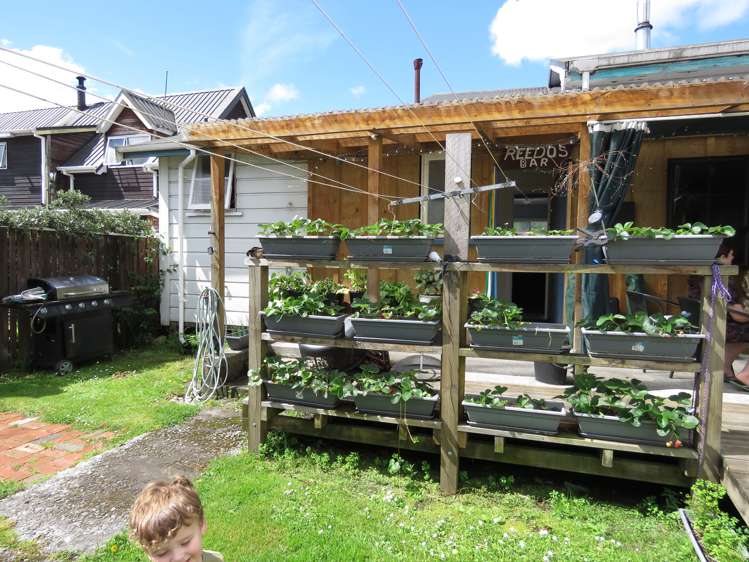 8 Ranft Street Reefton_22