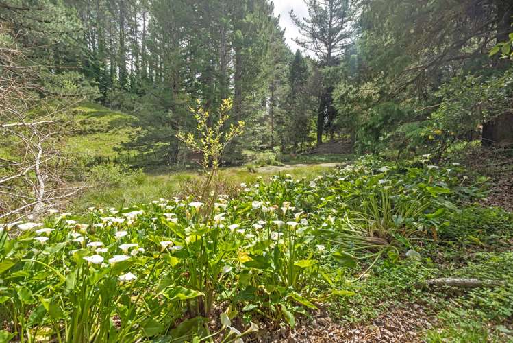 4649 Waiapu Road Te Puia Springs_19