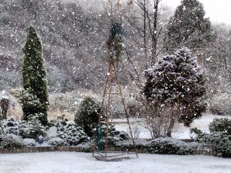 379 Strode Road Alexandra_19