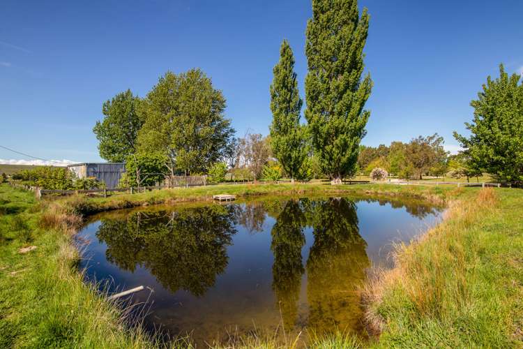 1031 Earnscleugh Road Alexandra_23