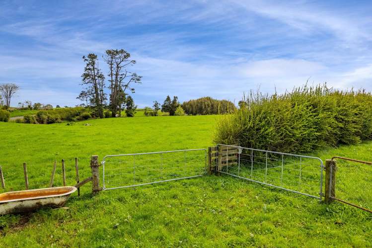 221 Stanley Road Te Popo_34