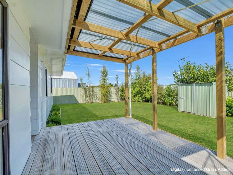 15b Douglas Street Levin_2