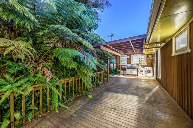 36 Don Buck Road Massey_1