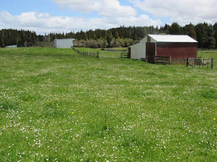 5573 State Highway 12 Kaikohe_10