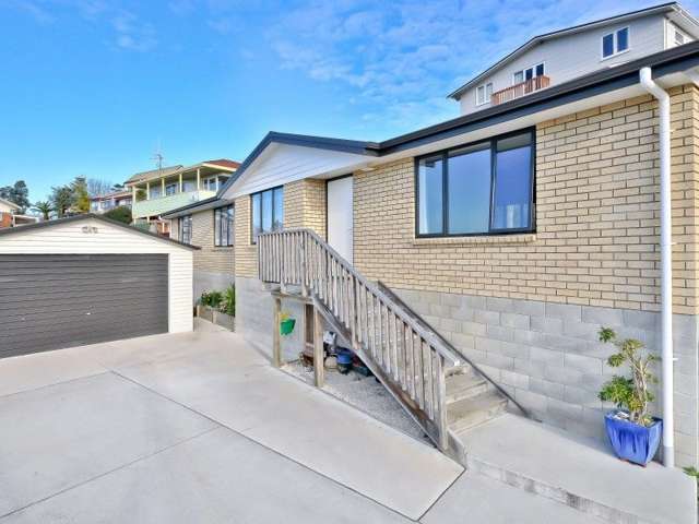 43a Livingstone Avenue Nawton_1