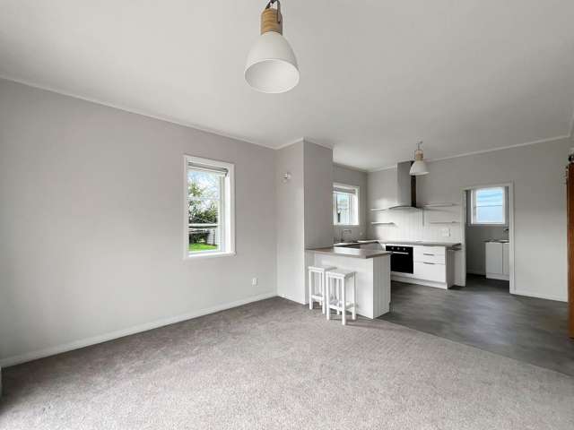 53 Nelson Street Hampstead_3