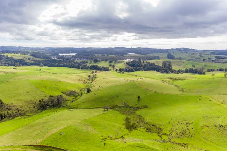 460 Pungaere Road Kerikeri Surrounds_11