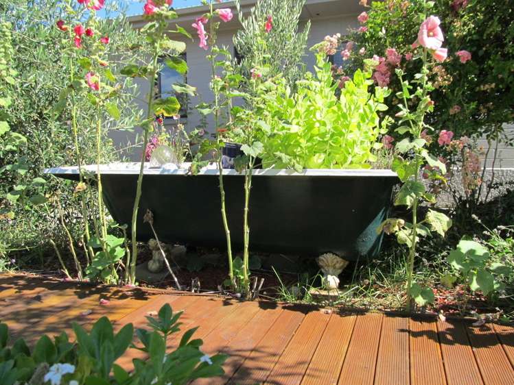 8 Blackmore Crescent Alexandra_17