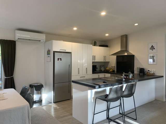 8A Vine Avenue Maungatapu_3