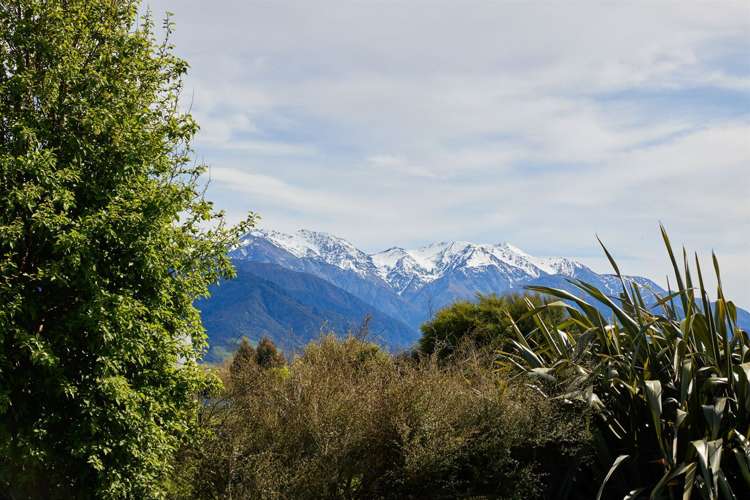 238a Mount Fyffe Road Kaikoura_12