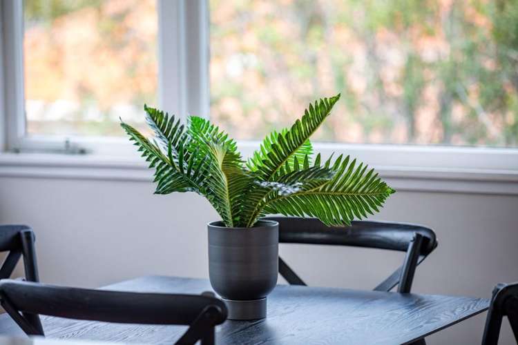 52 Cambridge Road Hillcrest_9