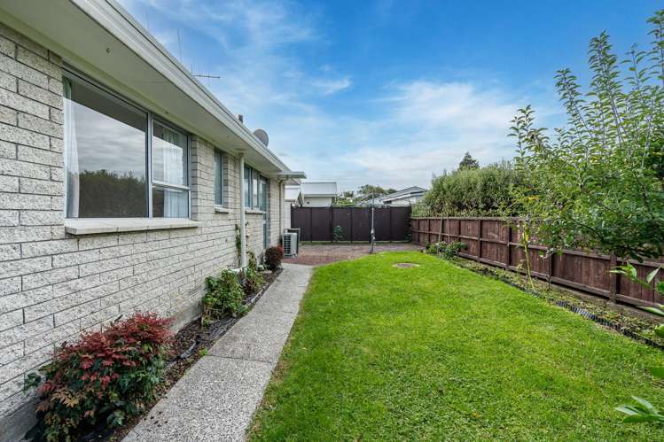 15A Irvine Street Frankton_11
