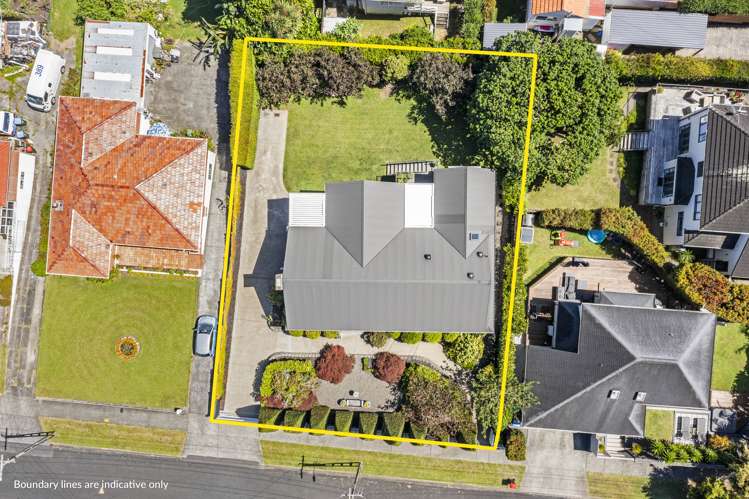 25 Sayegh Street Saint Heliers_23