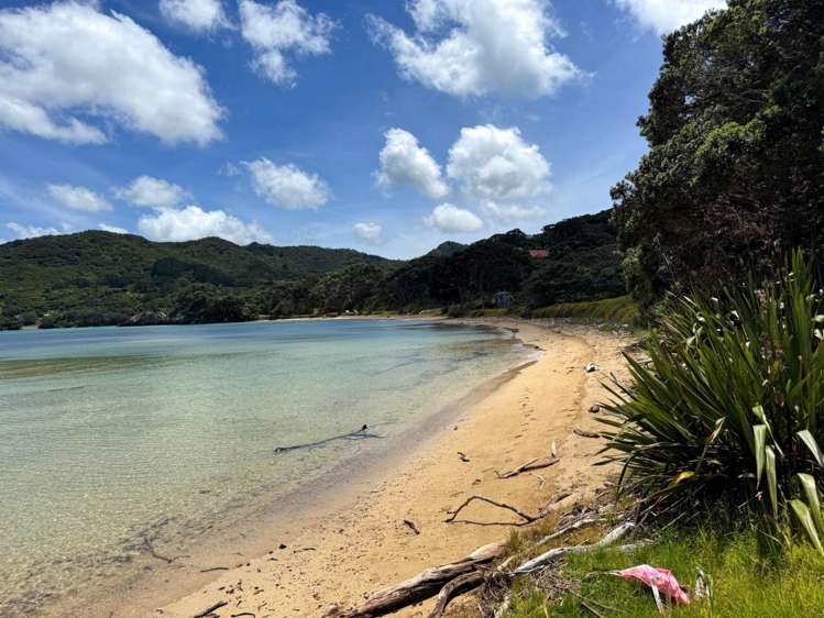 403 Shoal Bay Road Great Barrier Island_27