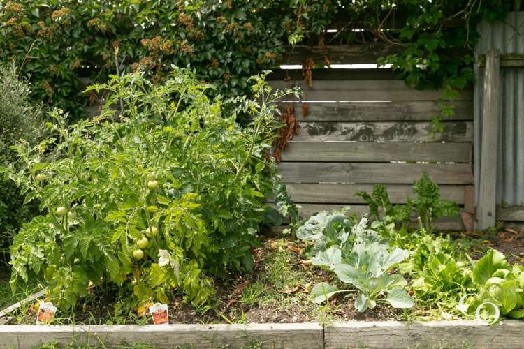 3/9 Lyttelton Crescent Tamatea_27