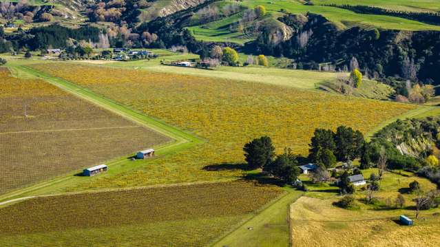 Colefield Vineyard, Aorangi Road Maraekakaho_4
