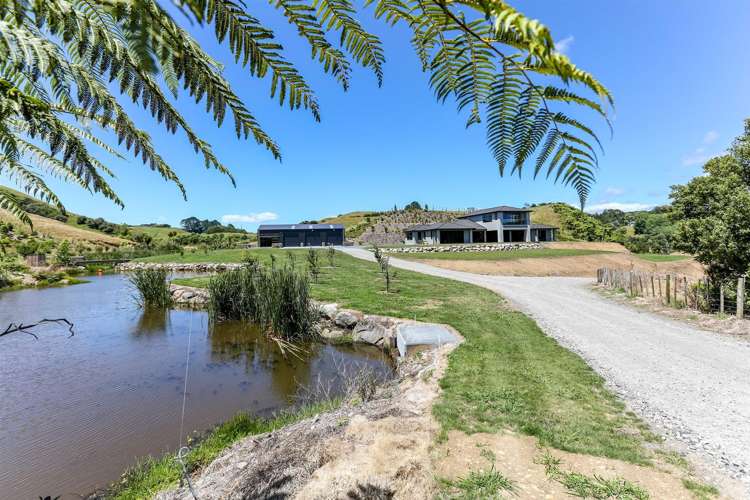 286c Smart Road Hillsborough_3