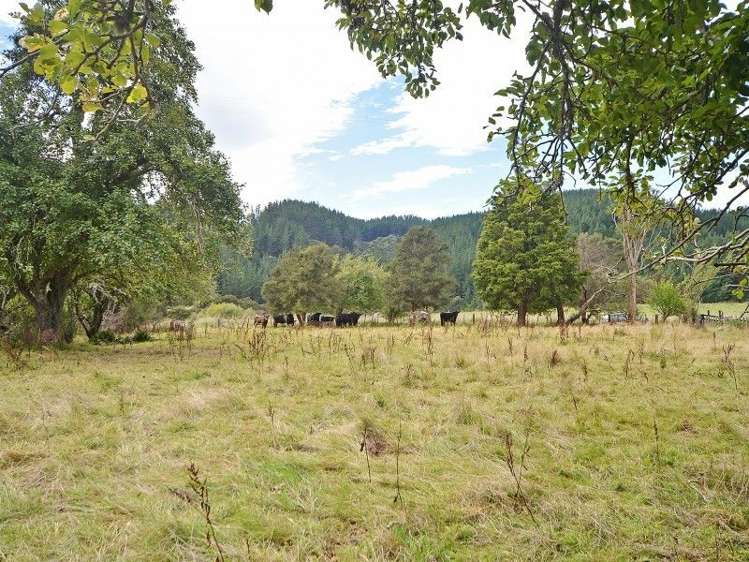 157 Mangarei Road Bideford_12