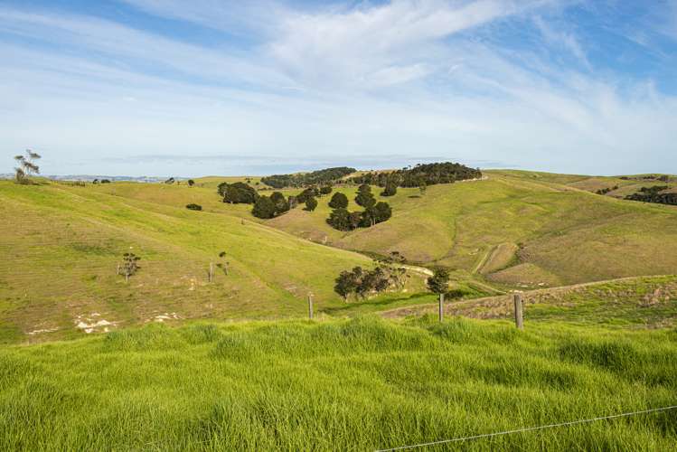 Parahi Road Ruawai_16