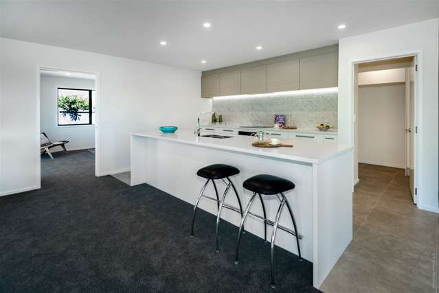 3 Turner Lane Rolleston_1