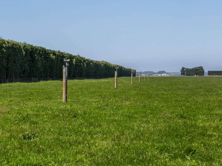 1403 South Eyre Road Swannanoa_7