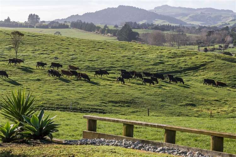 12 Borrows Road Wellsford_17