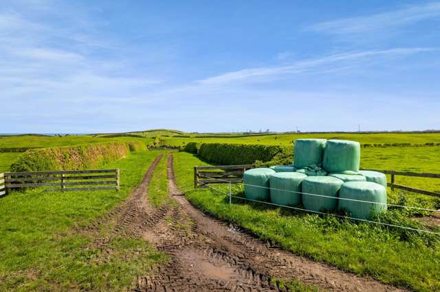 3789 South Road Opunake_3