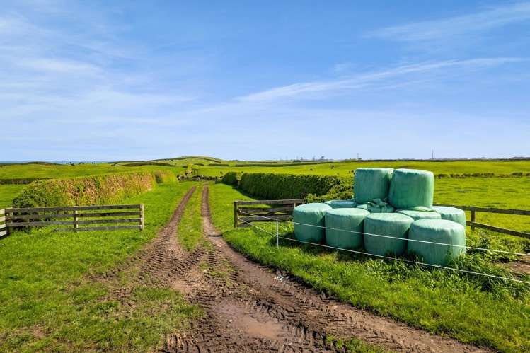 3789 South Road Opunake_3