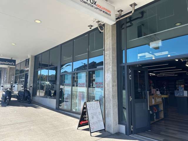 Tenancy 5/4 Williamson Avenue Ponsonby_2