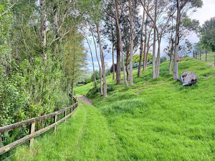 306 Pahoia Road Whakamarama_7