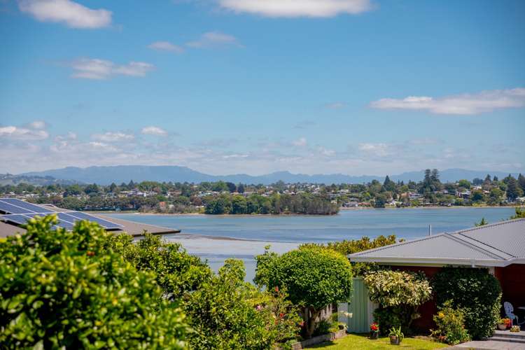 346a Maungatapu Road Maungatapu_19