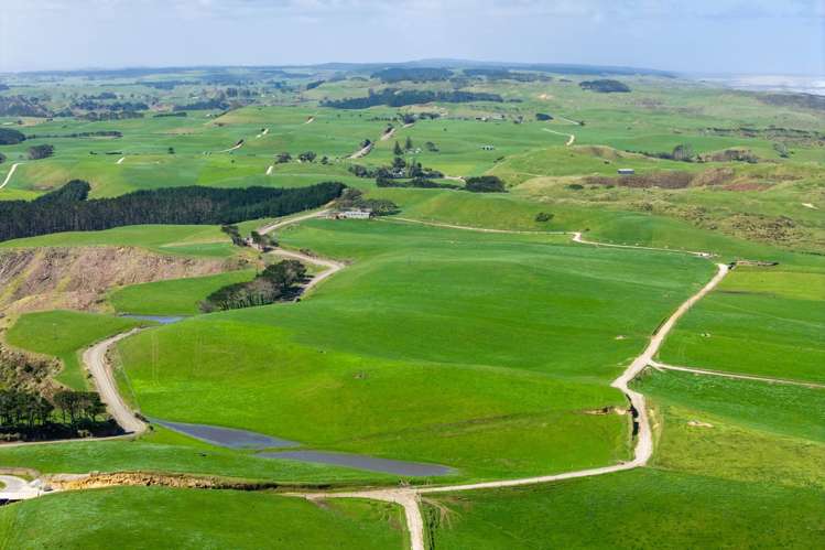 780 Te Maire Road Te Kopuru_24