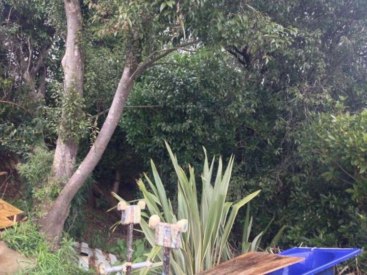 8 Harington Point Road Portobello_18