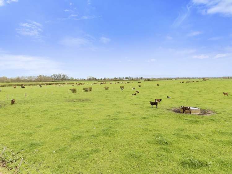 26 Schollum Road Eureka_5