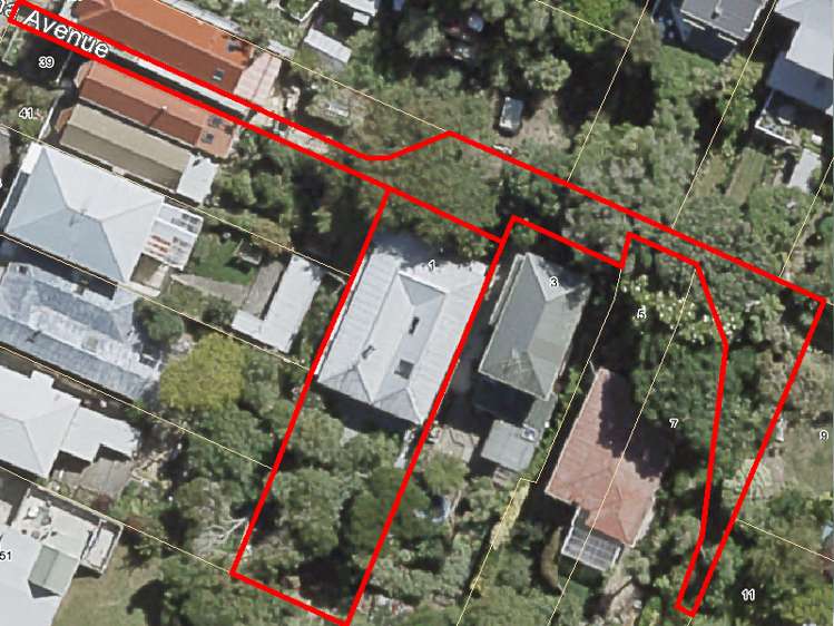 1 Levina Avenue Aro Valley_14