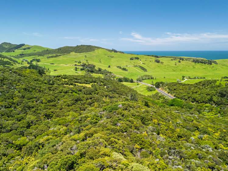 Pt Waiwhatawhata 1A3 State Highway 12 Omapere_20
