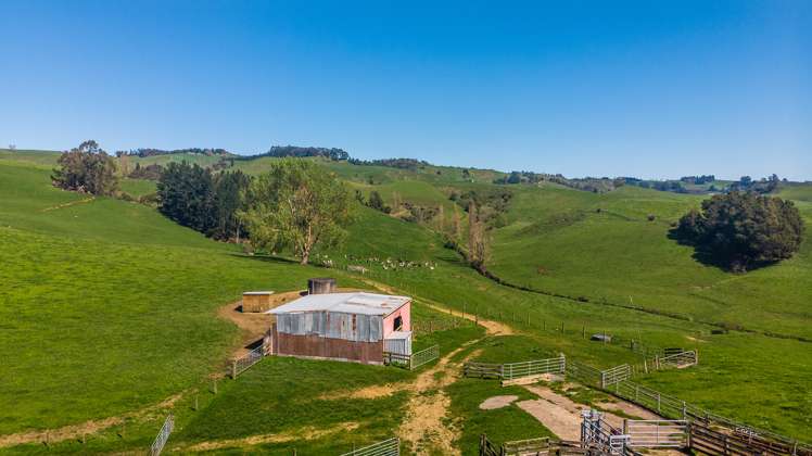 356 Lurman Road Otorohanga_4