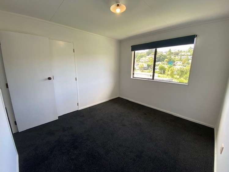 388b Ngatai Road Bellevue_8